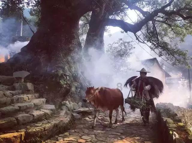 热销的“年饭礼盒”里都有点啥 春节的脚步越来越近，您家的年饭在哪儿吃？
