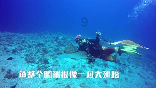 舞熊森林逃生